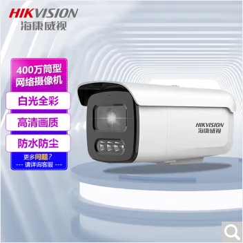海康威视 400万POE高清网络监控摄像机DS-2CD3T46DWDV3-L(2.8mm/4mm/6mm)(C)